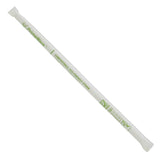 10.25", GIANT CLEAR PAPER WRAPPED COMPOSTABLE CELLULOSIC STRAW
